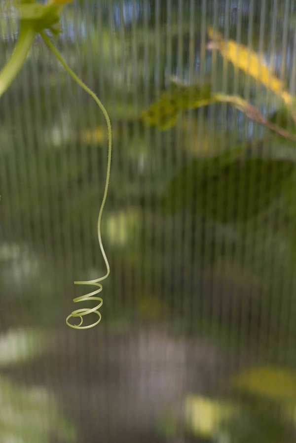 Comment mettre en œuvre une stratégie de gestion des espaces de travail post-COVID ?